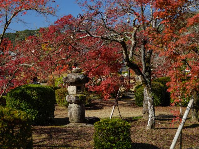 写真：西渓公園