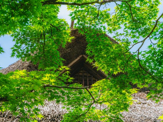 写真：九年庵