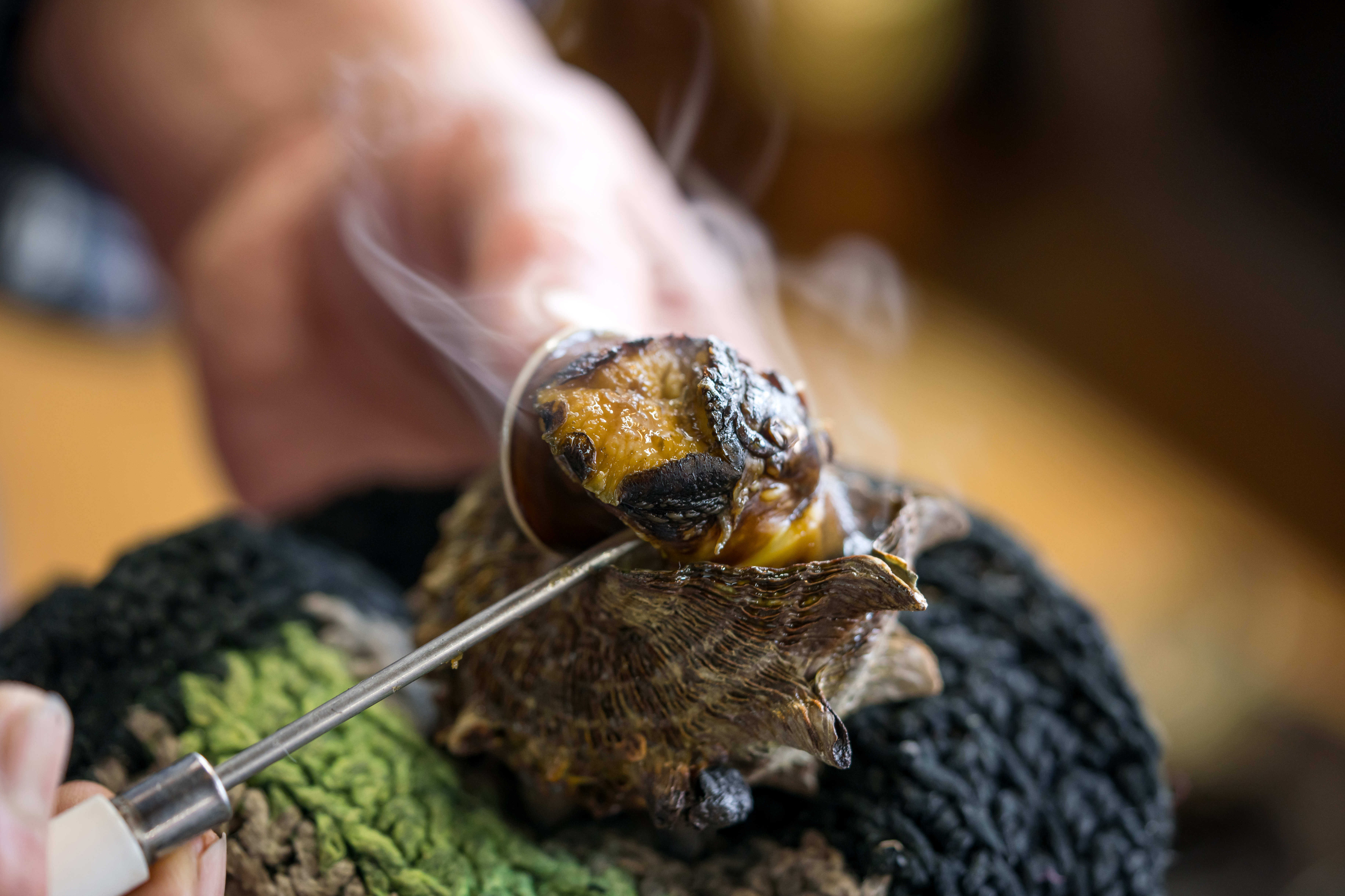 写真：波戸岬 サザエのつぼ焼き