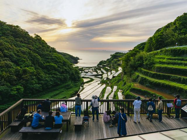 写真：浜野浦の棚田