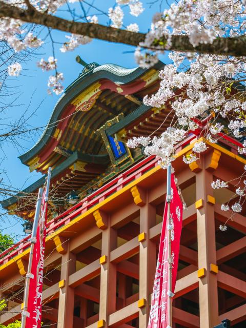 写真：祐徳稲荷神社（桜）