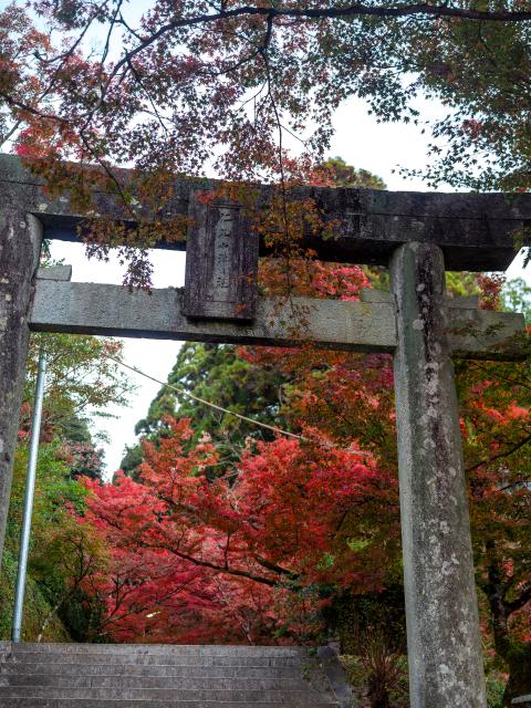 写真：仁比山神社