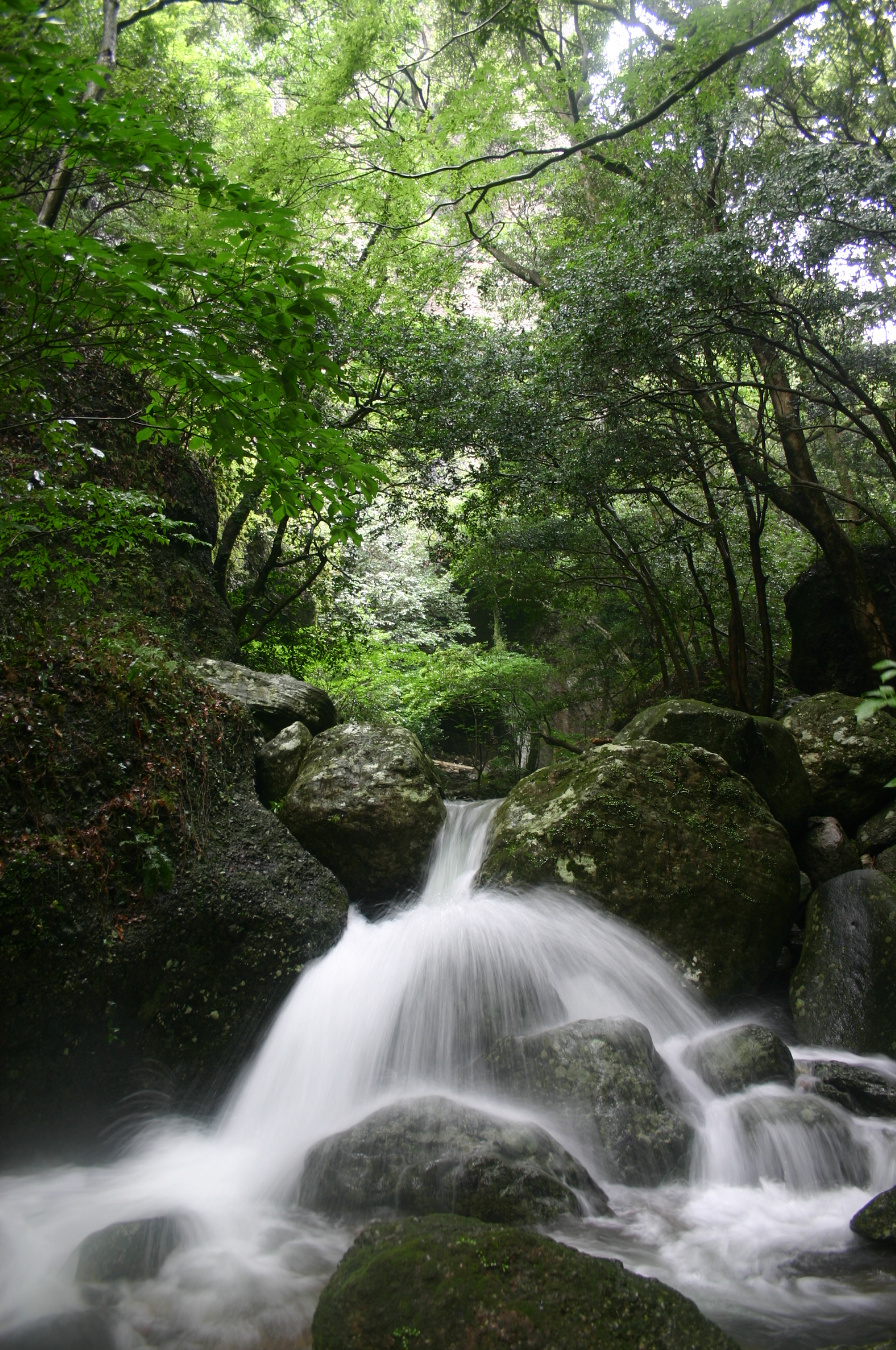 画像:竜門峡の写真