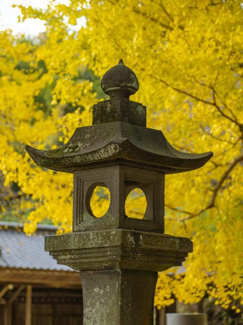 写真：綾部八幡神社