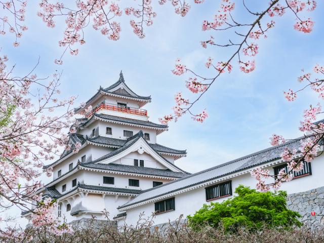 写真：唐津城（桜）