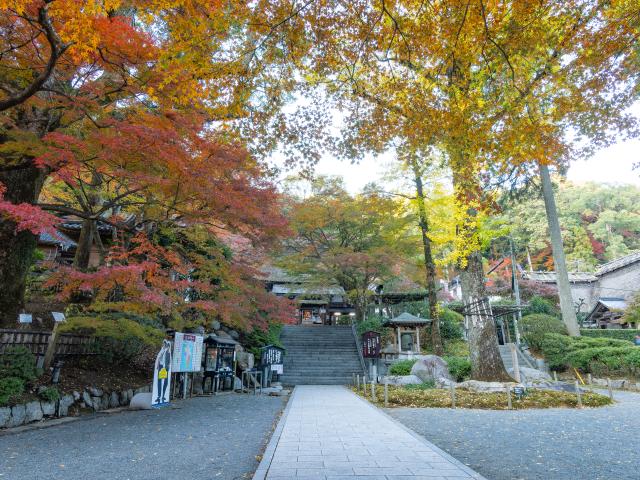 写真：大興善寺