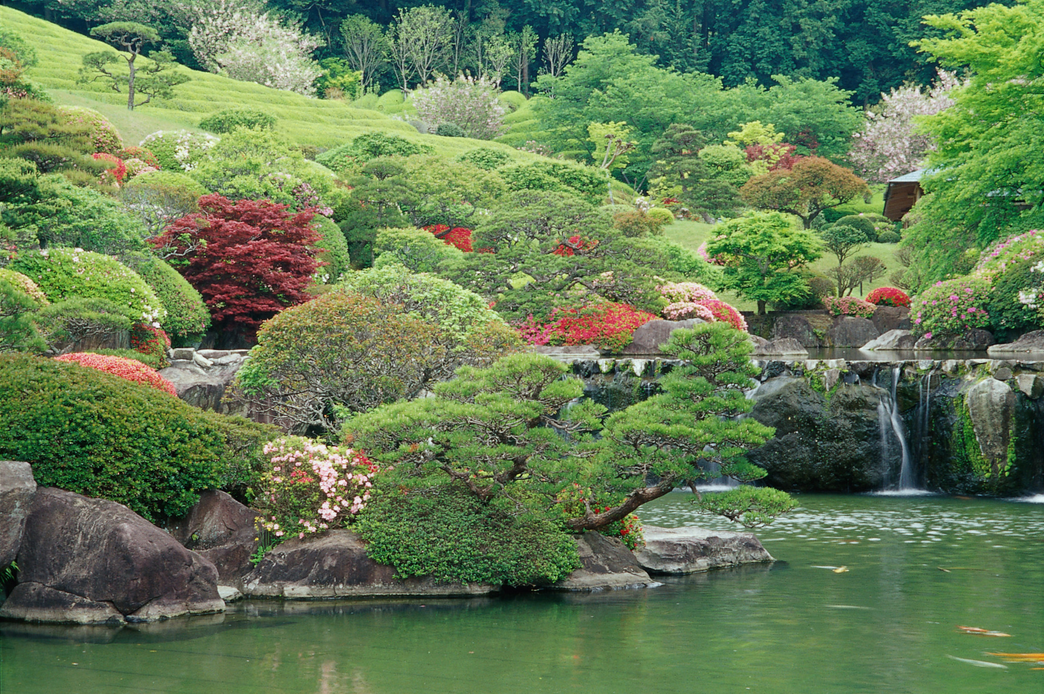 画像:慧洲園の写真