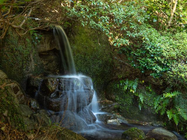 写真：大興善寺