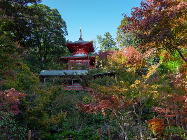 写真：高野寺