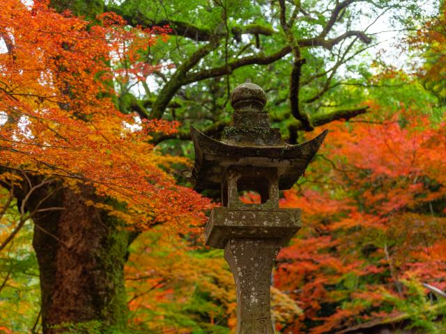 写真：仁比山神社