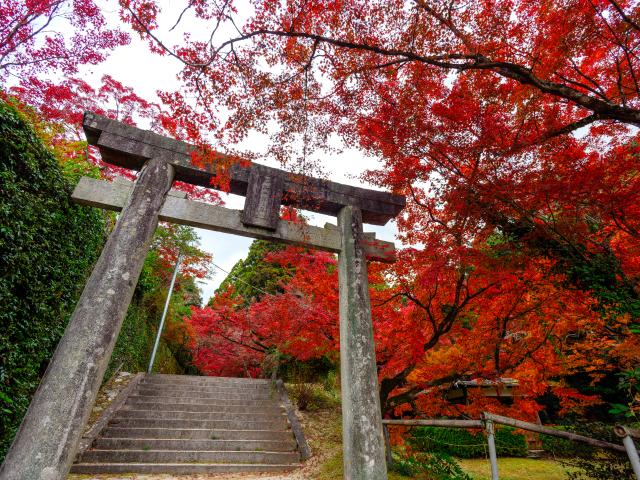 写真：仁比山神社