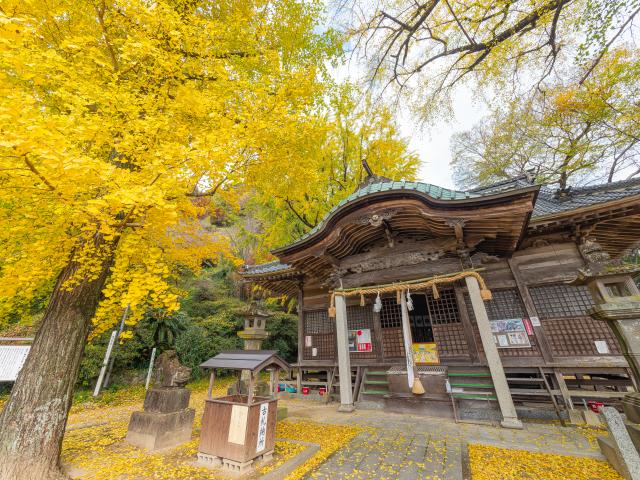 写真：綾部八幡神社