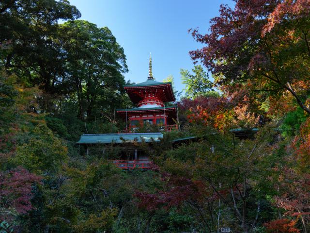 写真：高野寺