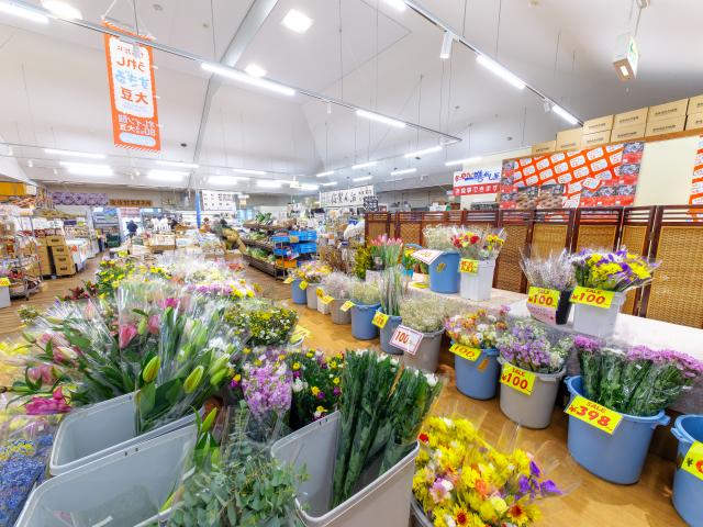 写真：武雄温泉物産館