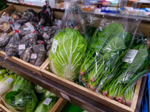 写真：武雄温泉物産館