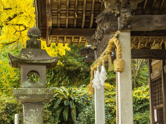 写真：綾部八幡神社