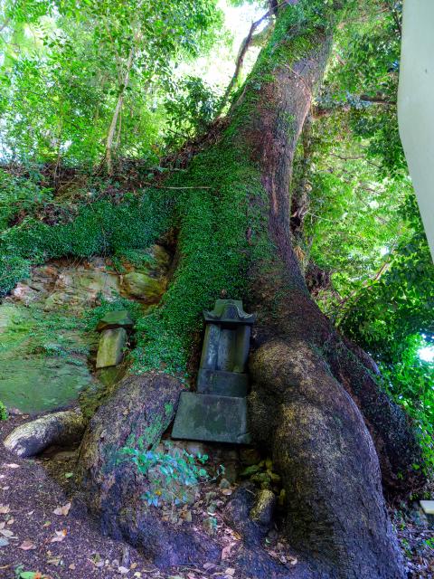 写真：伊萬里神社