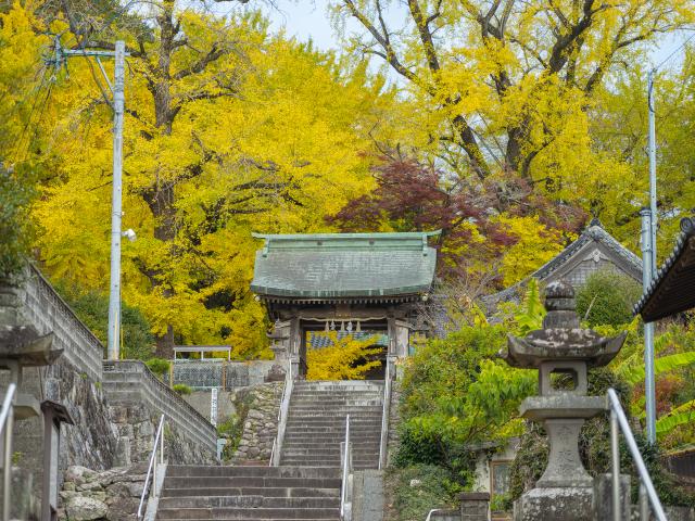 写真：綾部八幡神社