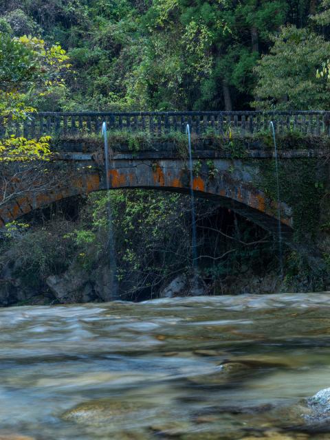 写真：眼鏡橋