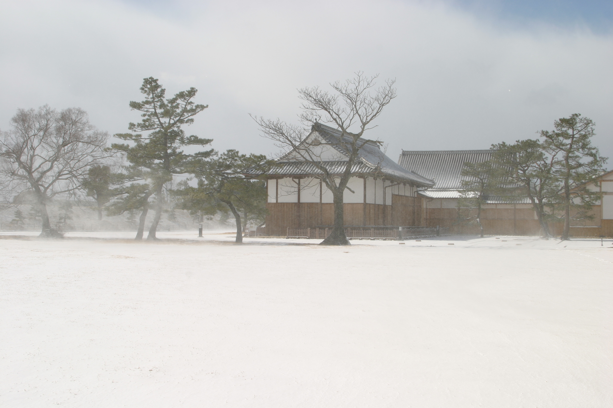 画像:佐賀城本丸歴史館の写真