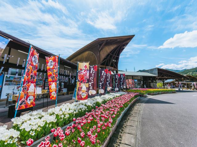 写真：道の駅大和「そよかぜ館」