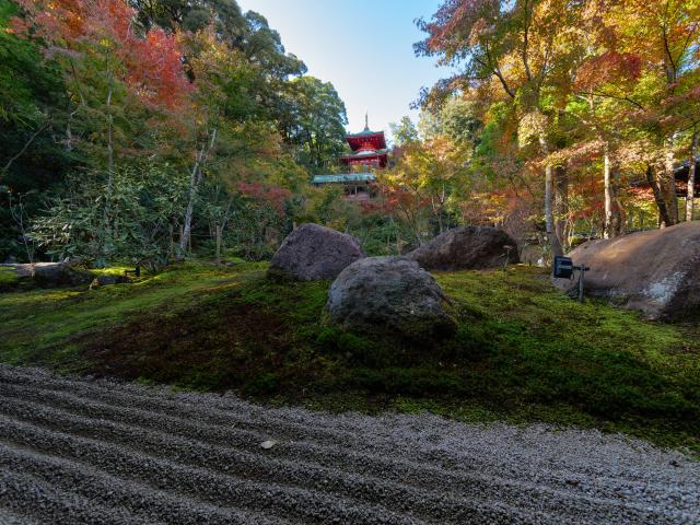 写真：高野寺