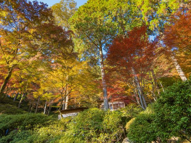 写真：大興善寺