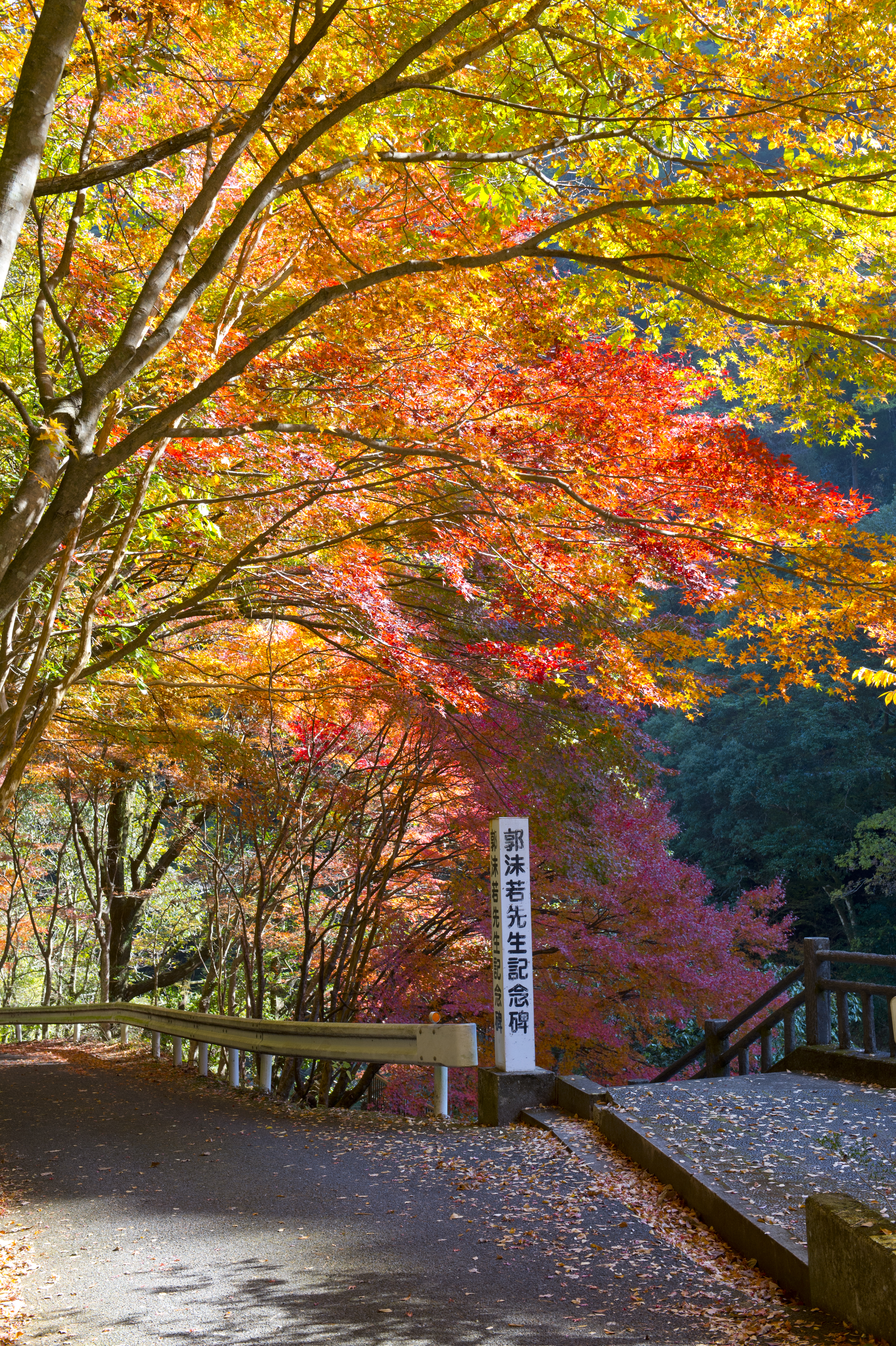 画像:雄淵・雌淵の写真