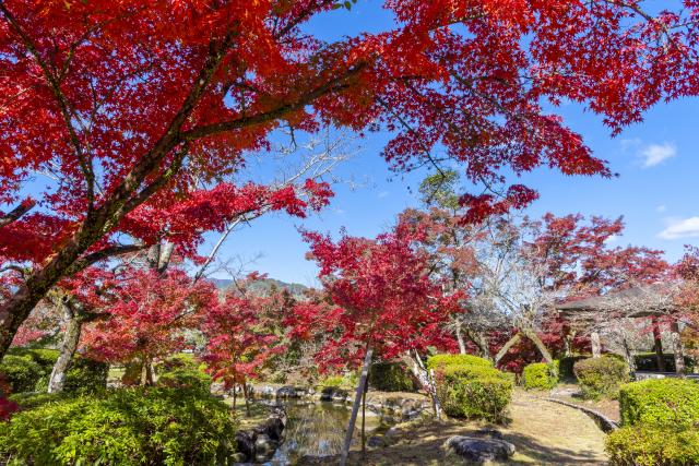 画像:多久聖廟・西渓公園の写真