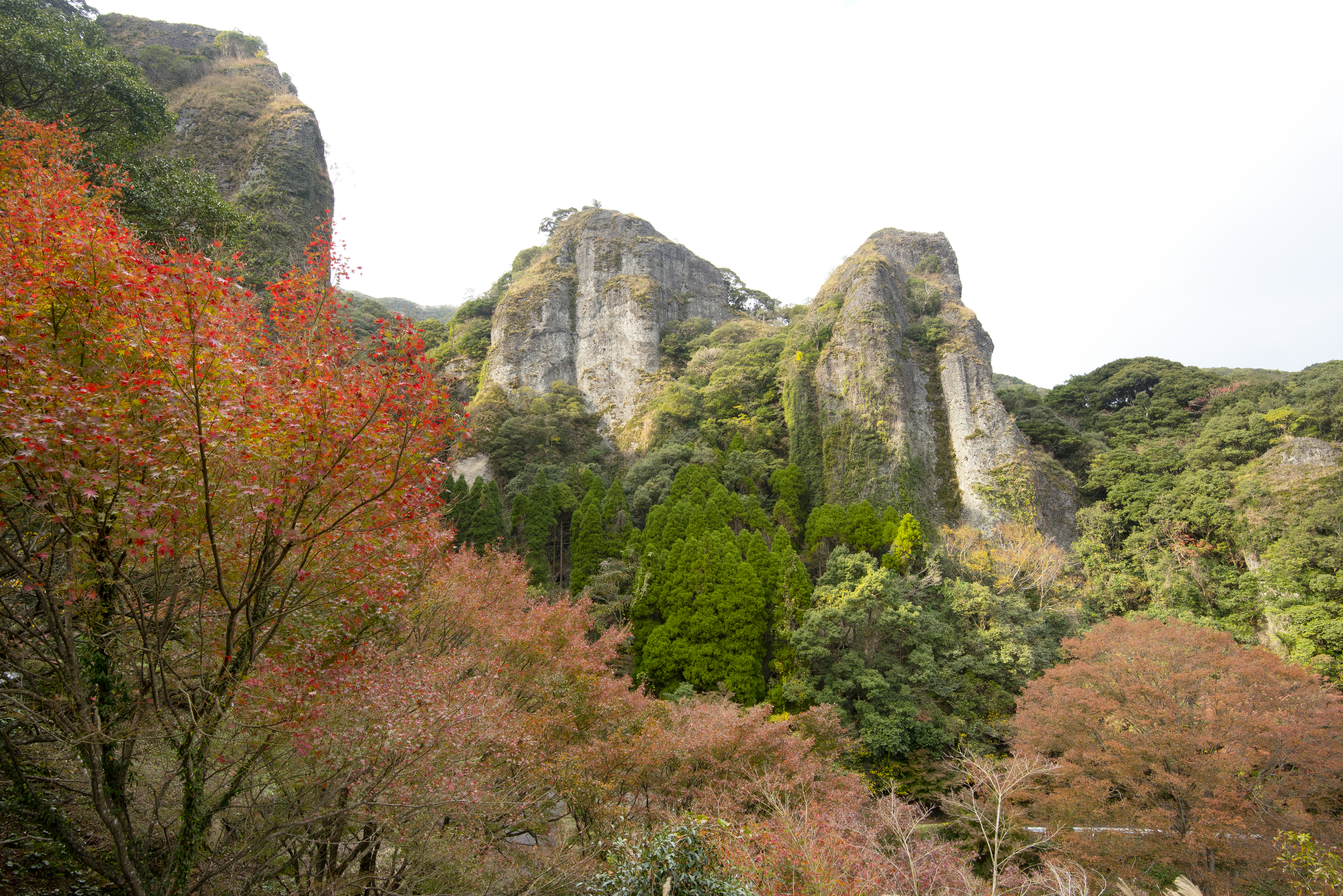 画像:黒髪山の写真