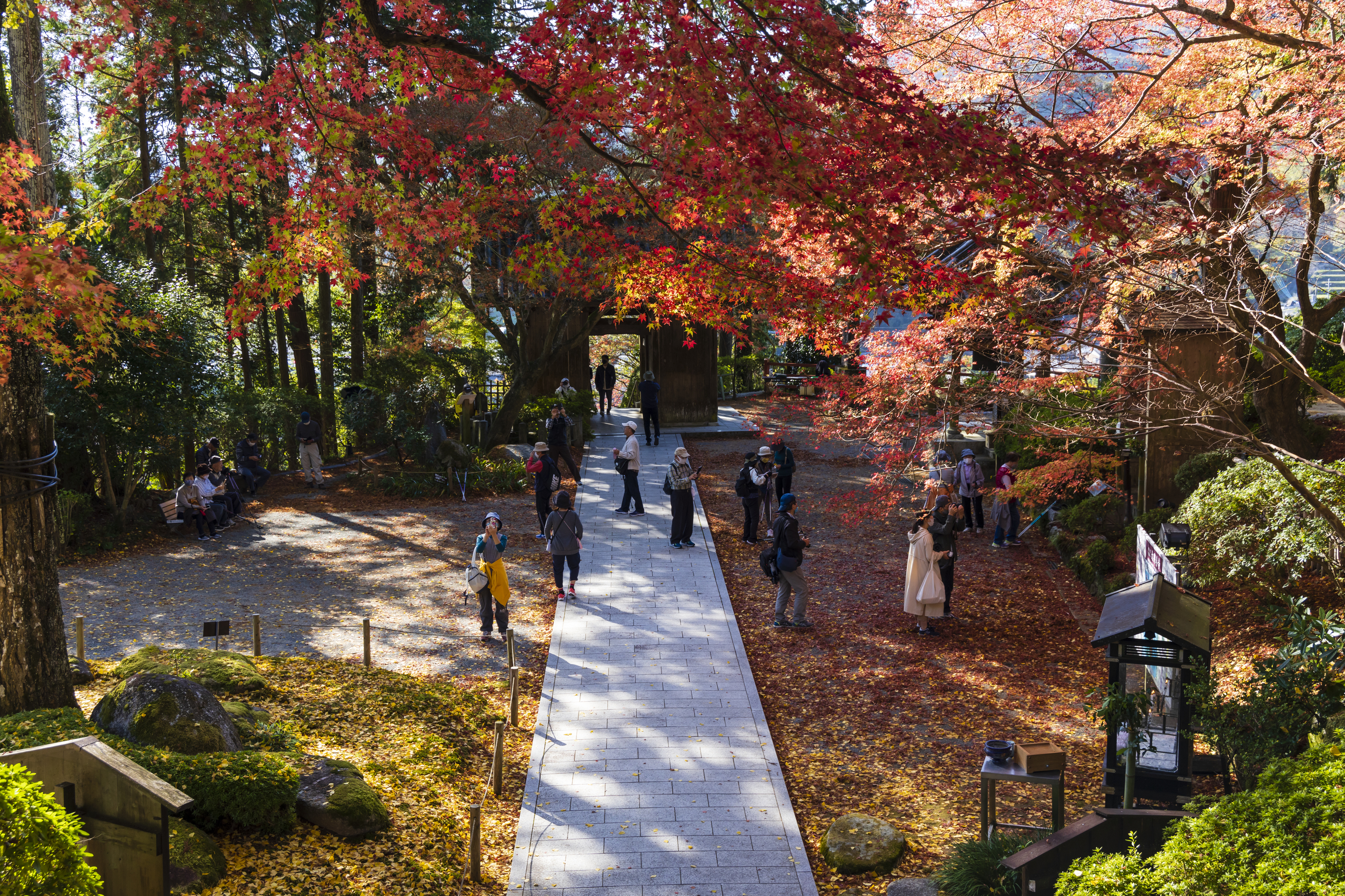 画像:大興善寺の写真