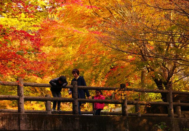 画像:竜門峡の写真