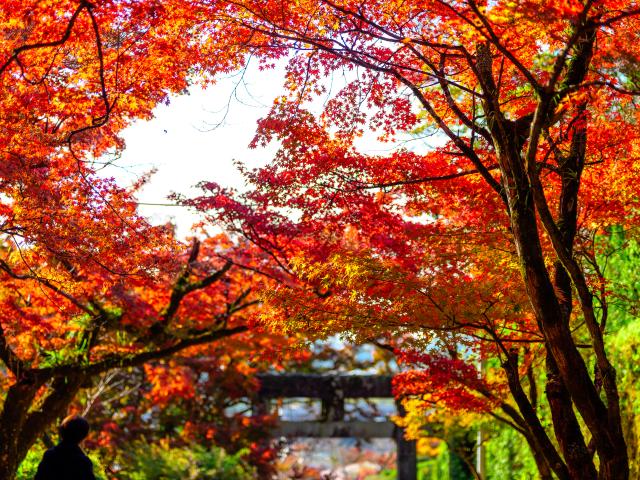 写真：仁比山神社