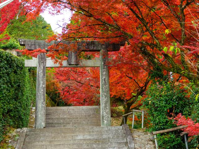 写真：仁比山神社