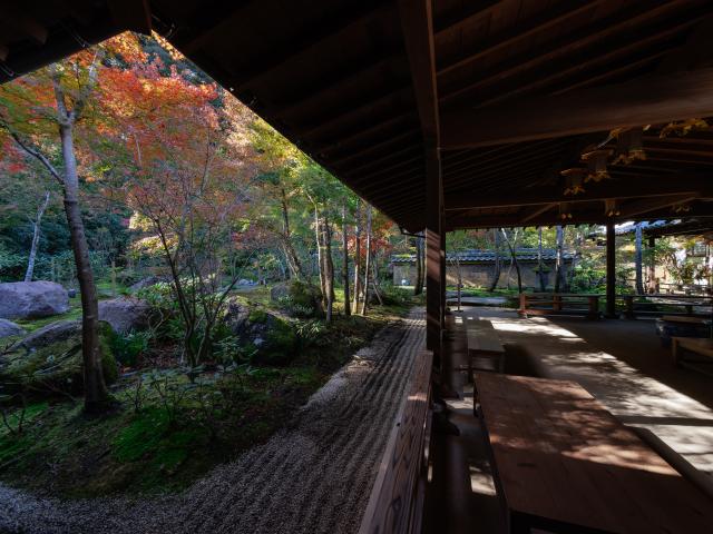 写真：高野寺