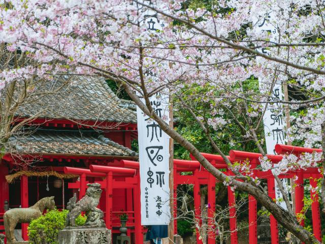 写真：小城公園(桜)