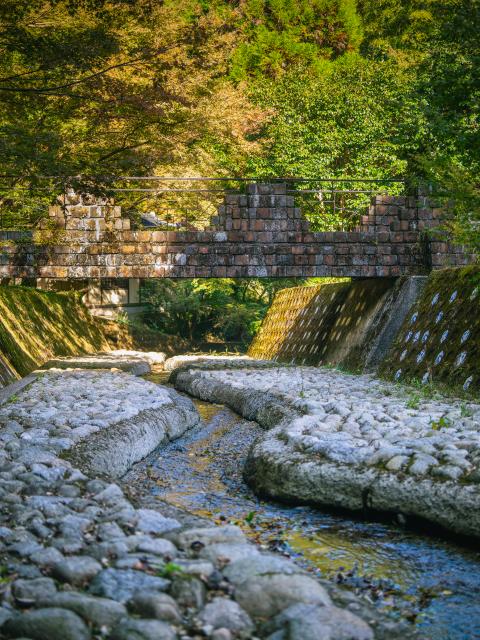 写真：大川内山の風景