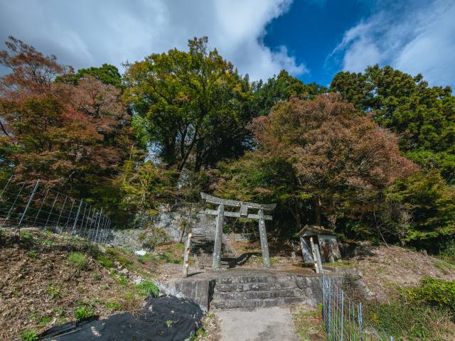 写真：大山祇神社