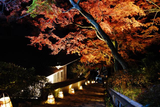 画像:大興善寺の紅葉の写真