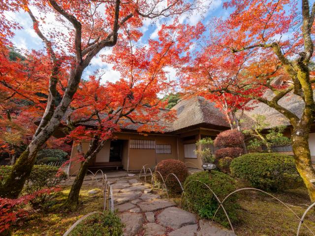 写真：九年庵