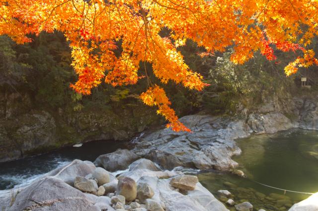 画像:雄淵・雌淵の写真