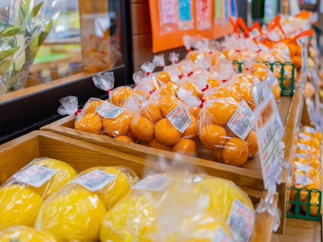 写真：道の駅太良 たらふく館