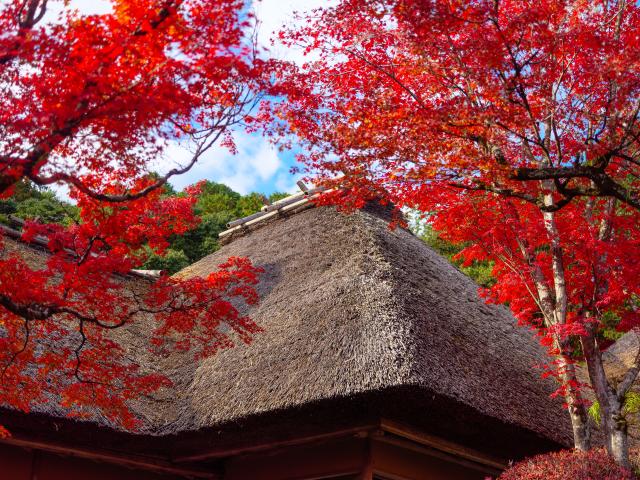 写真：九年庵