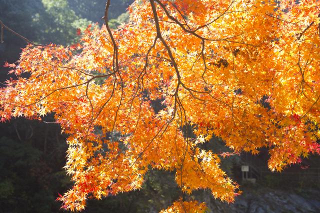 画像:雄淵・雌淵の写真