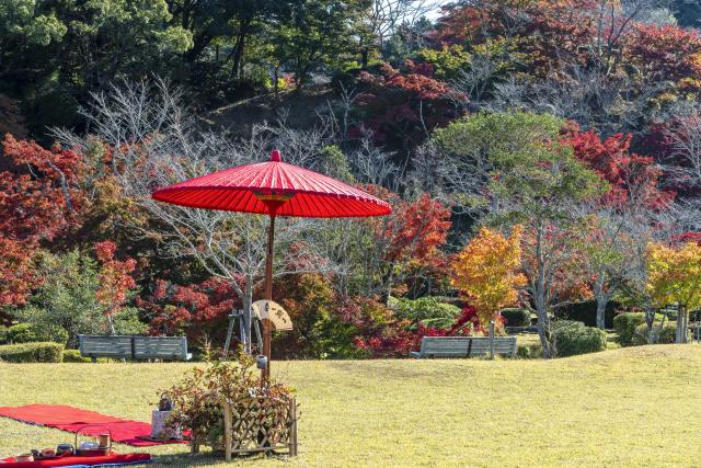 画像:多久聖廟・西渓公園の写真