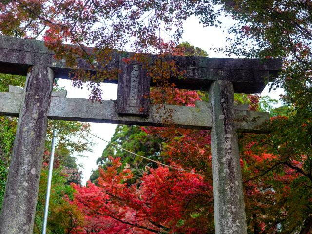 写真：仁比山神社