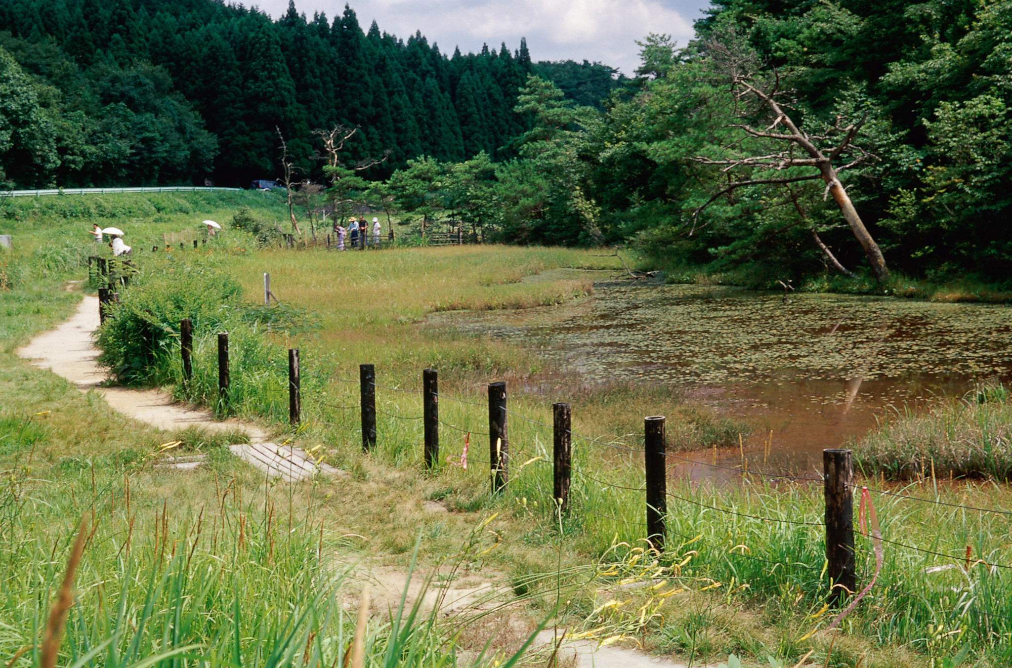 画像:樫原湿原の写真