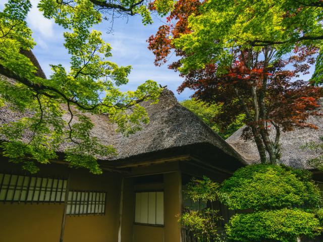 写真：九年庵