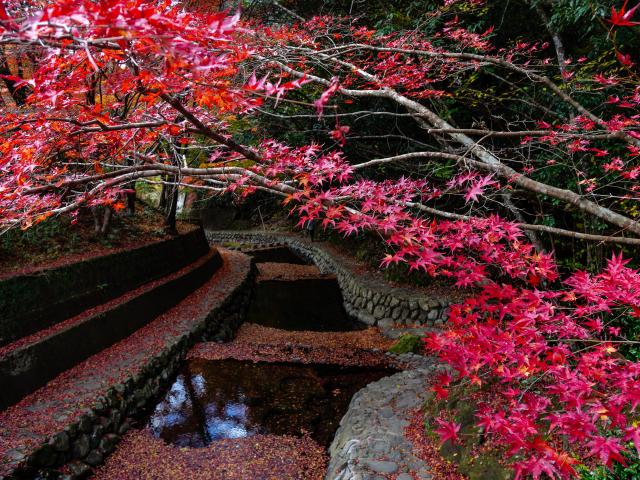 写真：竜門峡