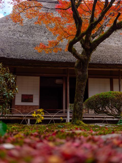 写真：九年庵